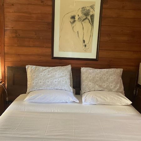 Potters Cottage Bellingen Extérieur photo