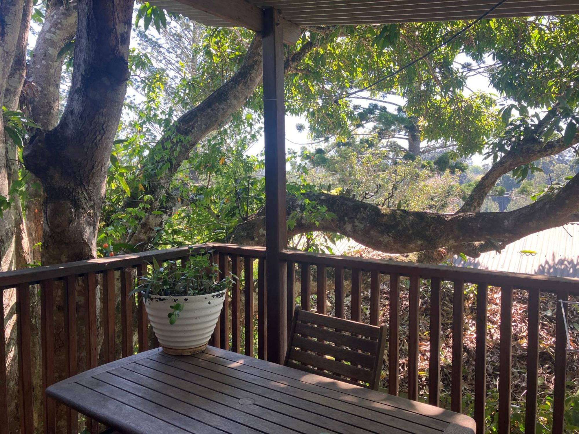 Potters Cottage Bellingen Extérieur photo
